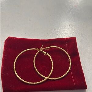 Elegant Gold Hoop Earrings(never worn)